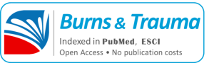 ANZBA 2018 - Burns & Trauma Logo 300x200
